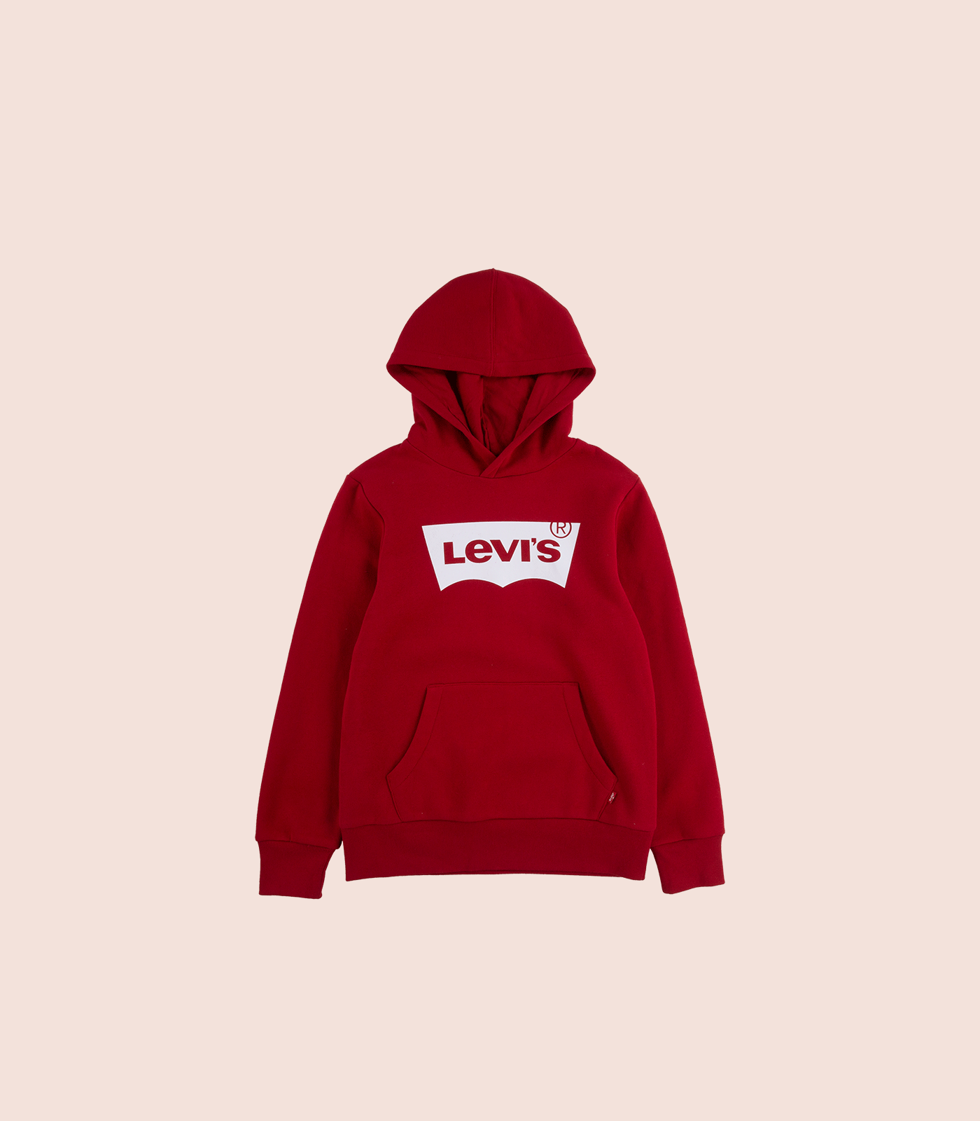 LEVI'S® BOYS HOUSEMARK LOGO PULLOVER HOODIE
