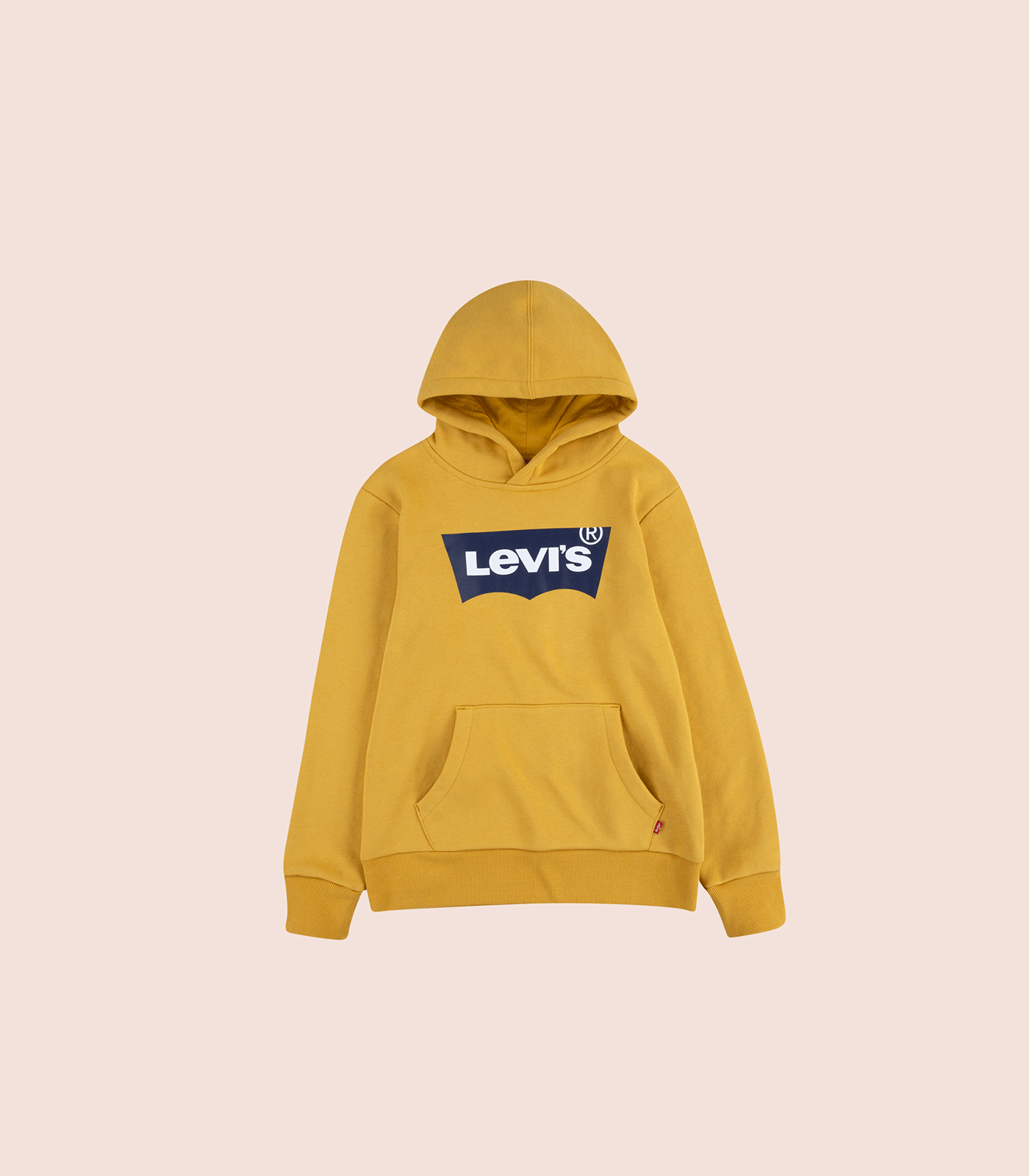 LEVI'S® BOYS HOUSE MARK LOGO PULLOVER HOODIE